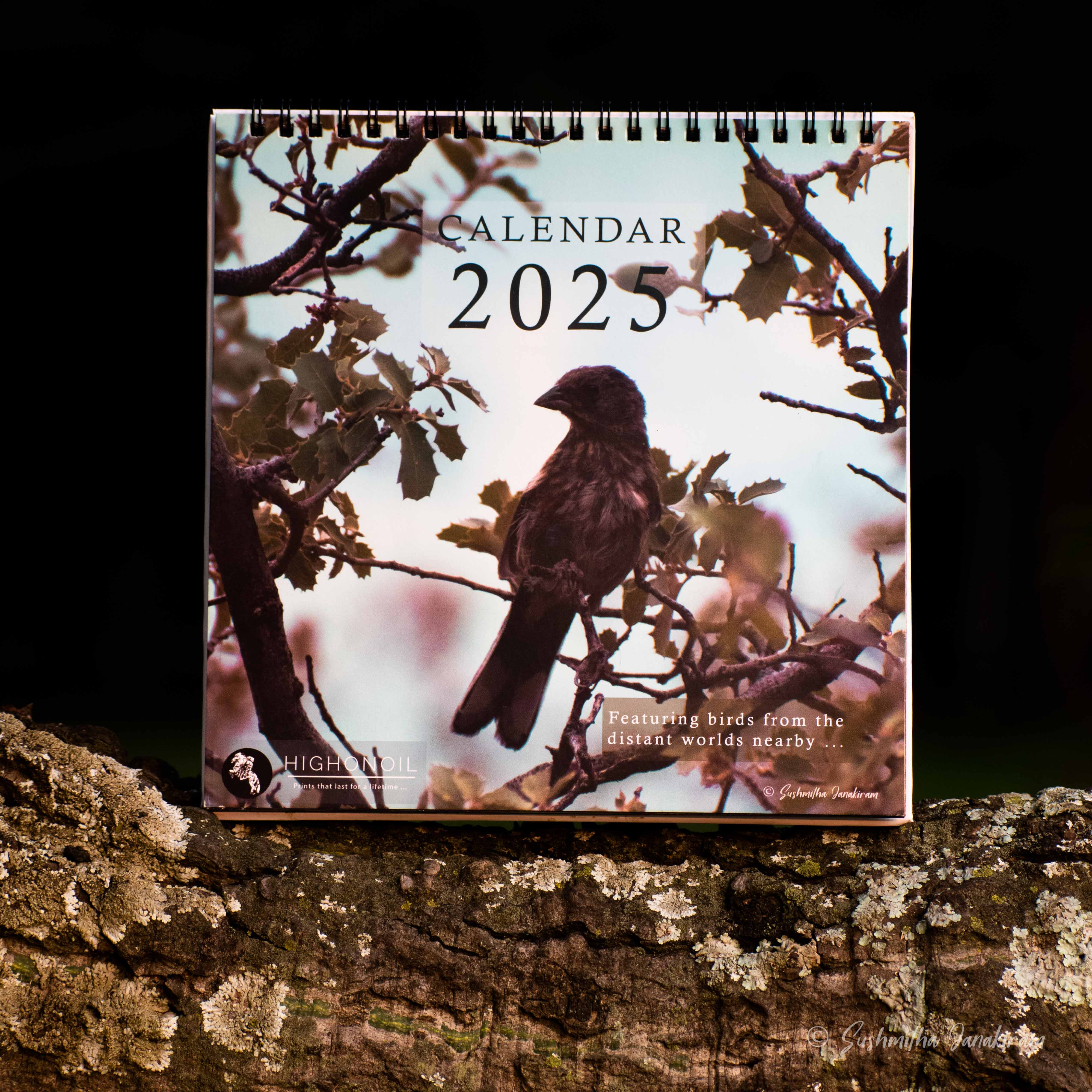 2025 Calendar | Bird Species | Diwali Gift | Christmas and New Year Gift | Desk Calendar
